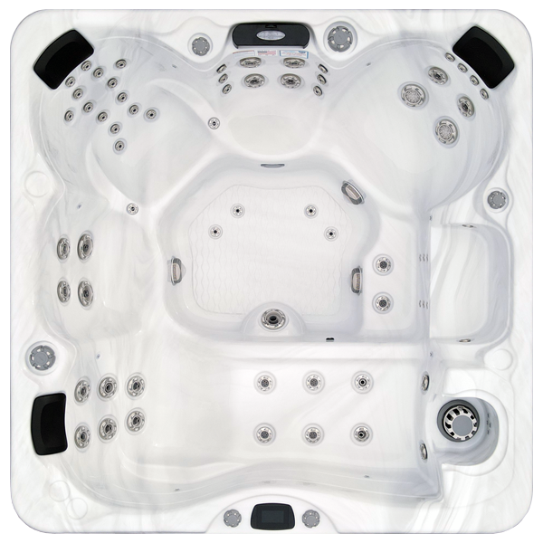 Avalon-X EC-867LX hot tubs for sale in Mileto